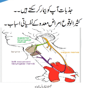 جذبات آ پ کوبیمار کرسکتے ہیں۔۔