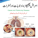 Lung Diseases: Causes and Risks
