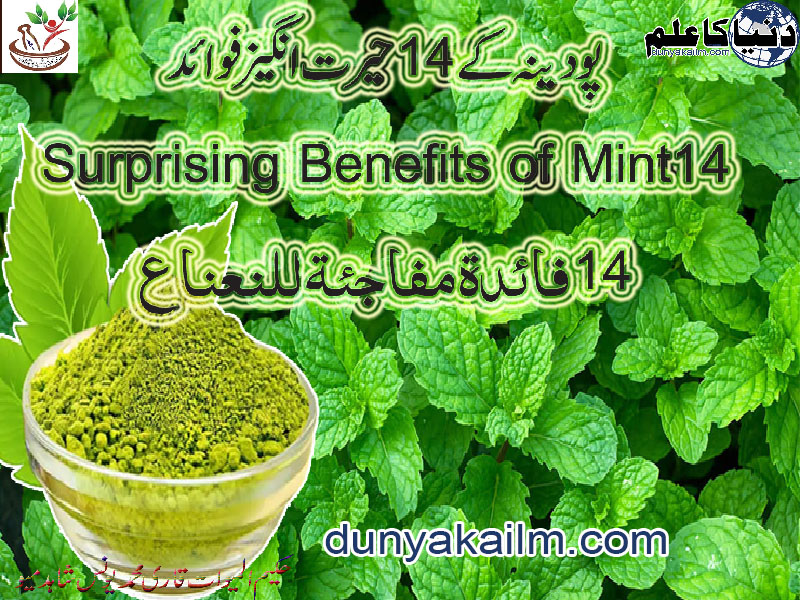 14 Surprising Benefits of Mint