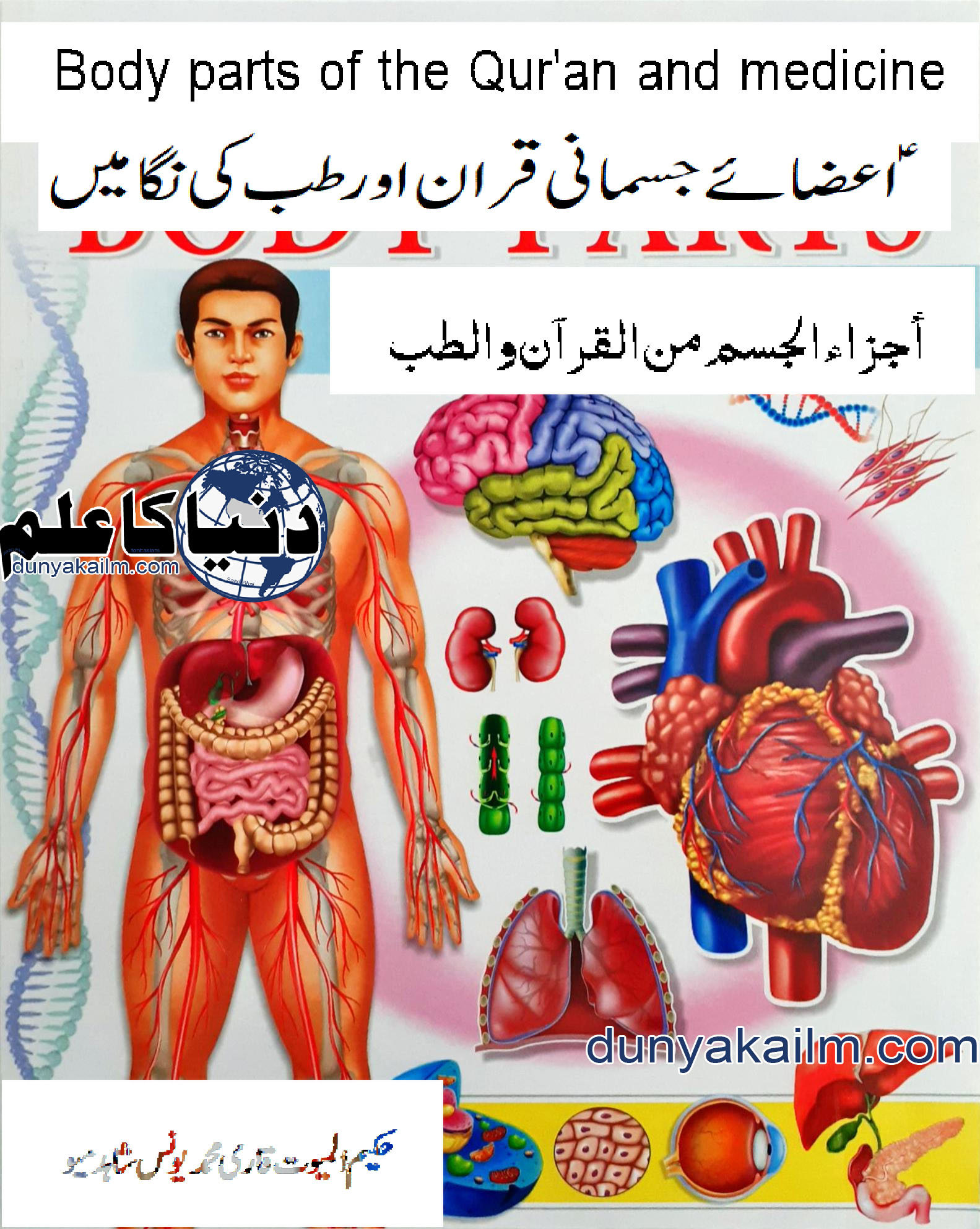 Body parts of the Qur'an and medicine
