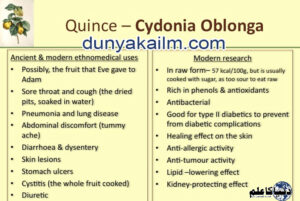 Quince(www.dunyakailm.com1)