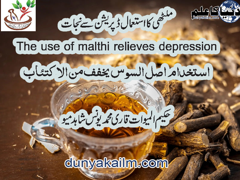 The use of malthi relieves depression(www.dunyakailm.com)