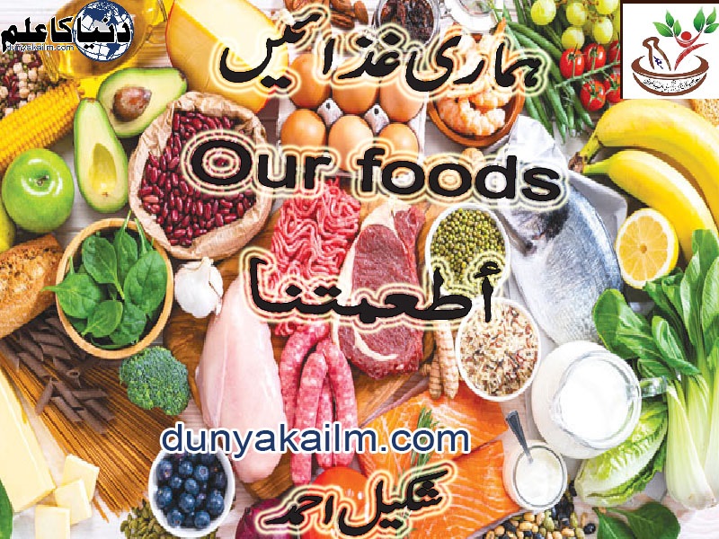 Our-foodswww.duniakailm.com_.jpg