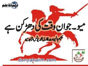 میو ۔جوان وقت کی دھڑکن ہے
