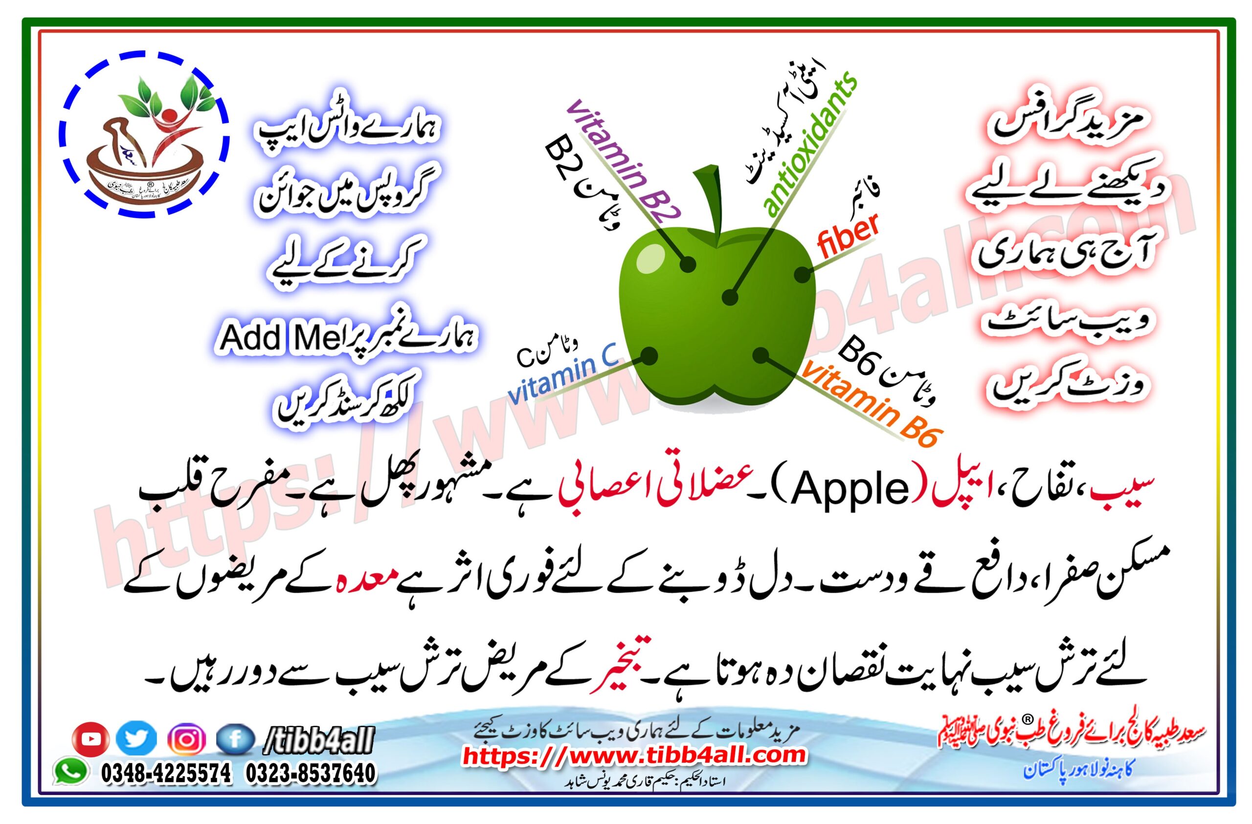 Ten Benefits and Nutritional Benefits of Apples