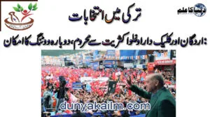 ترکی میں انتخابات