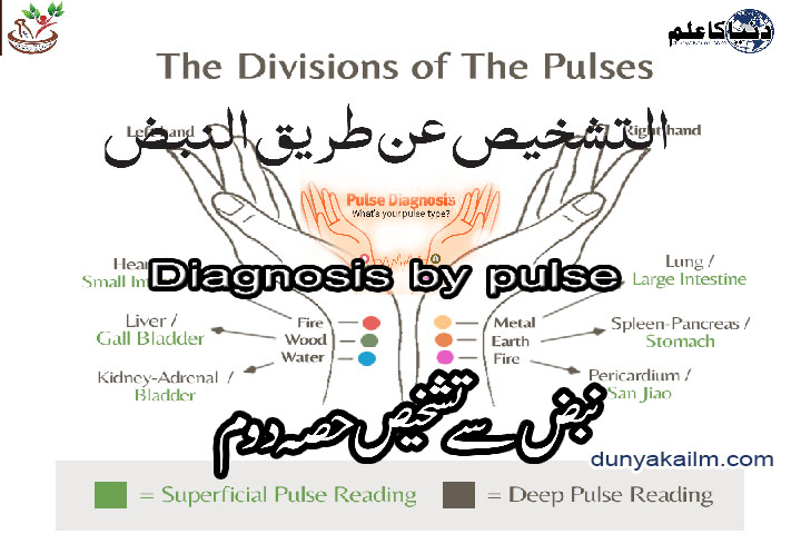 Diagnosis by pulse02