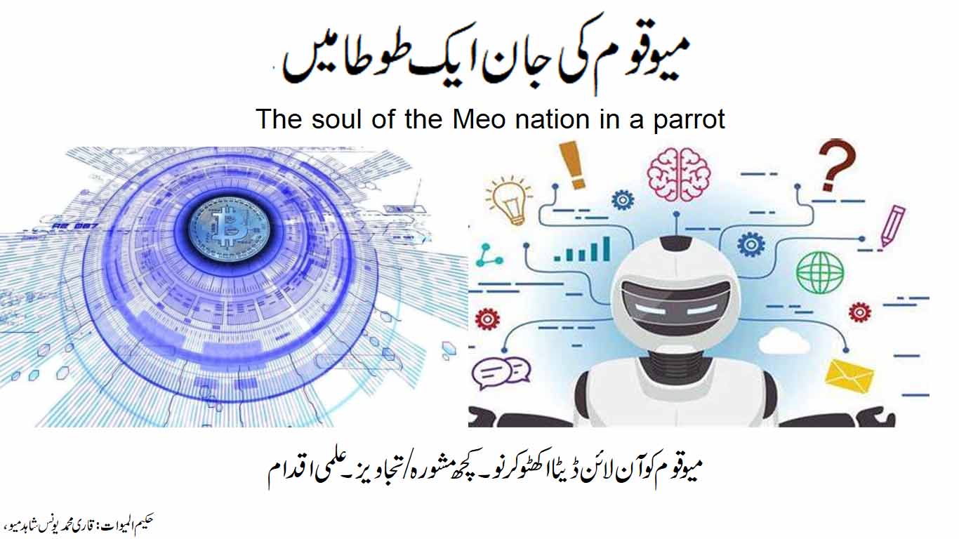 The soul of the Meo nation in a parrot.
