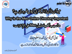 Why is the Meo Online Directory important