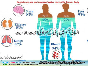 Importance and usefulness of water content in the human body