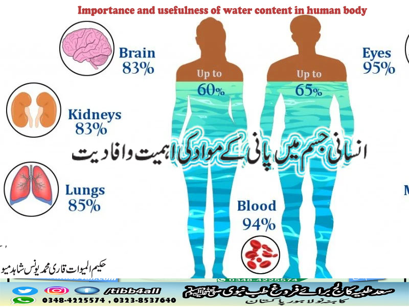 Importance and usefulness of water content in the human body