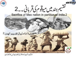 Sacrifice of Meo nation in partition of India.2