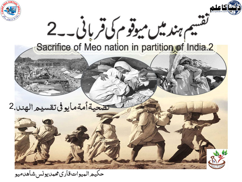 Sacrifice of Meo nation in partition of India.2
