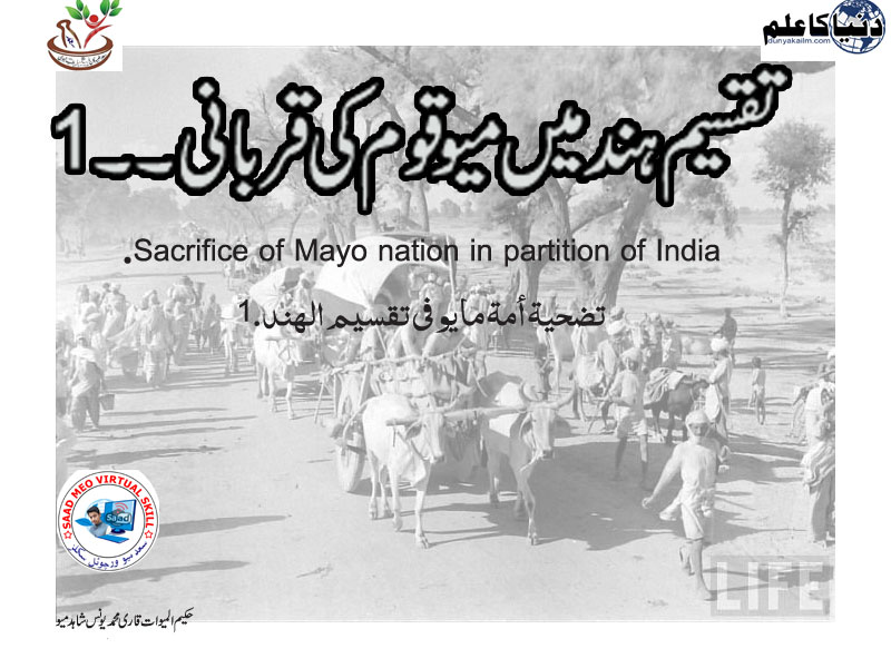 The sacrifice of the Meo nation in a partition of India.1