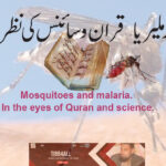 Mosquitoes and malaria. In the eyes of Quran and science.