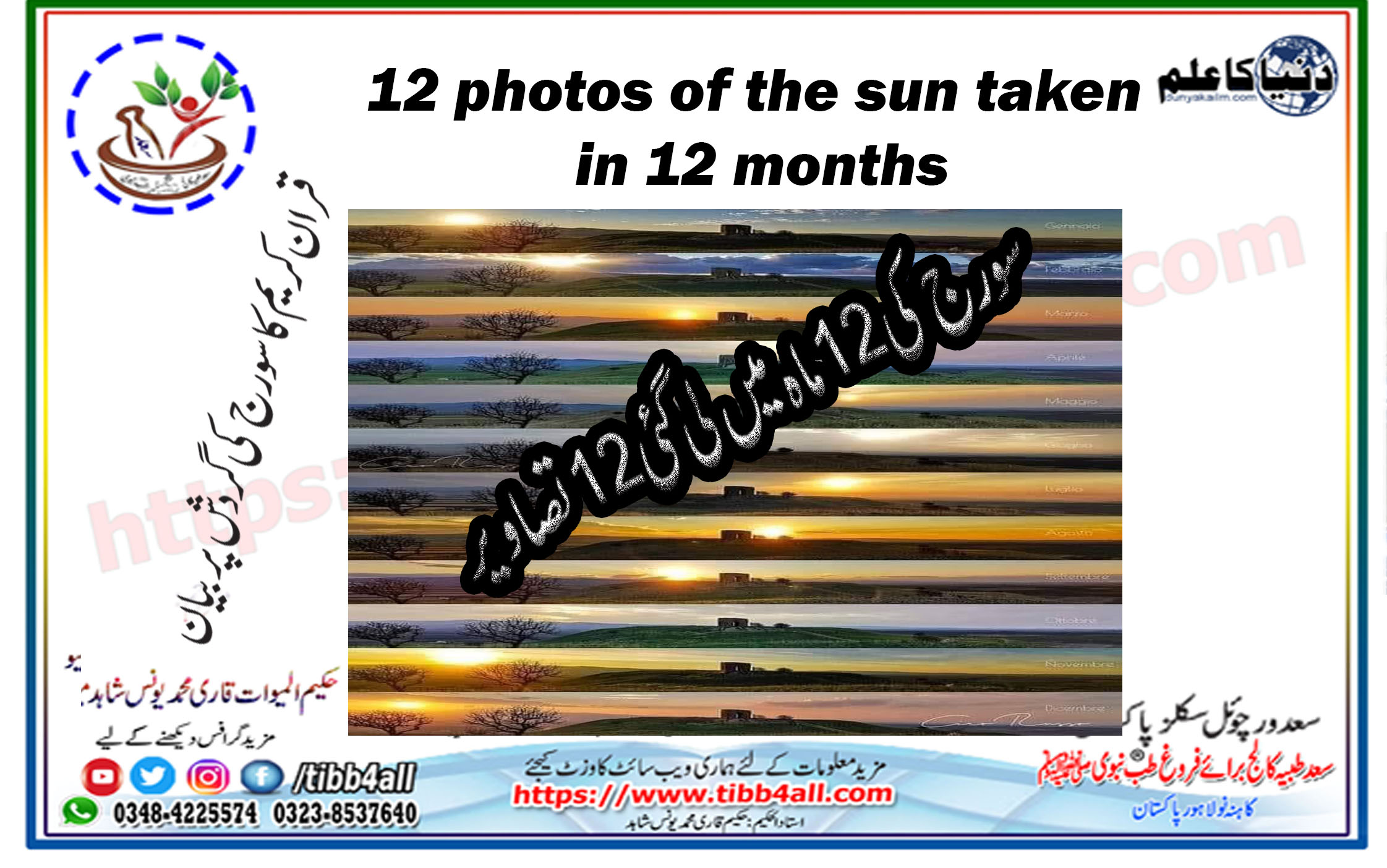 12 photos of the sun taken in 12 months