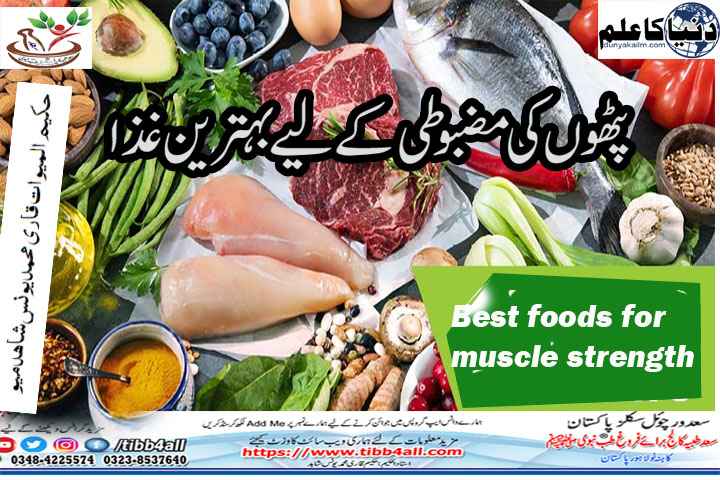 Best foods for muscle strength