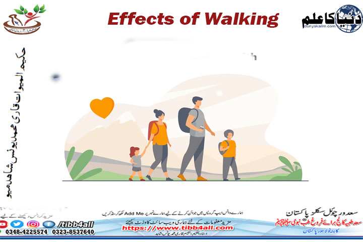 Effects of Walking