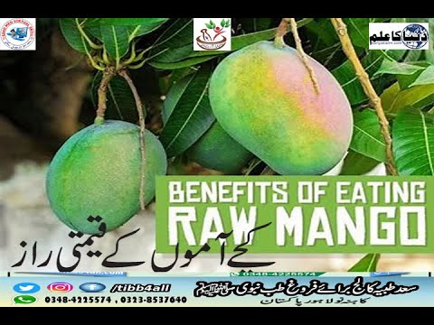 ten health benefits of raw mangoes