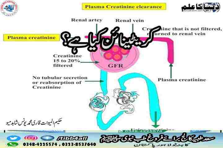 //What is creatinine?کریٹینائن کیا ہے؟