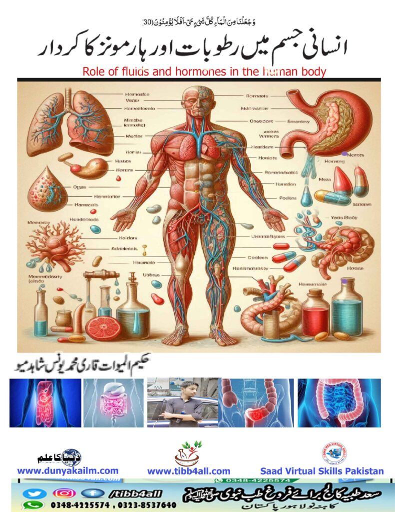 انسانی جسم میں رطوبات اور ہارمونز کا کردار