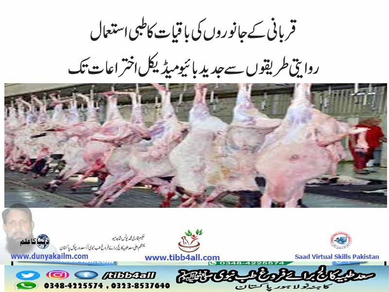 قربانی کے جانوروں کی باقیات کا طبی استعمال