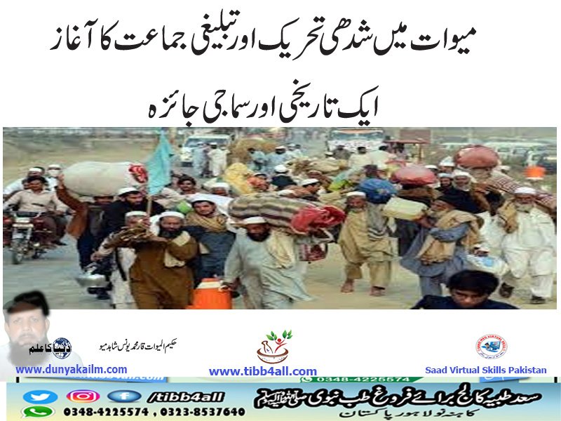 میوات میں شدھی تحریک اور تبلیغی جماعت کا آغاز