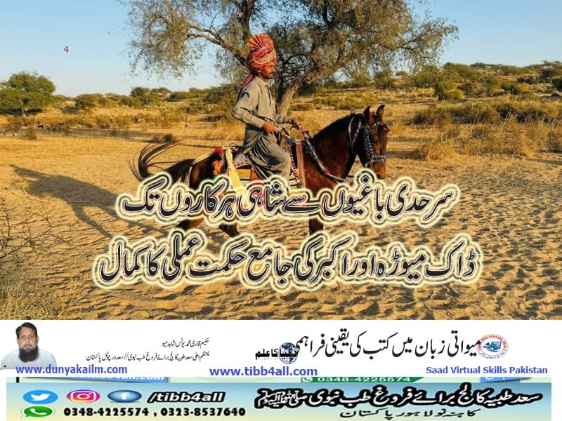 سرحدی باغیوں سے شاہی ہرکاروں تک