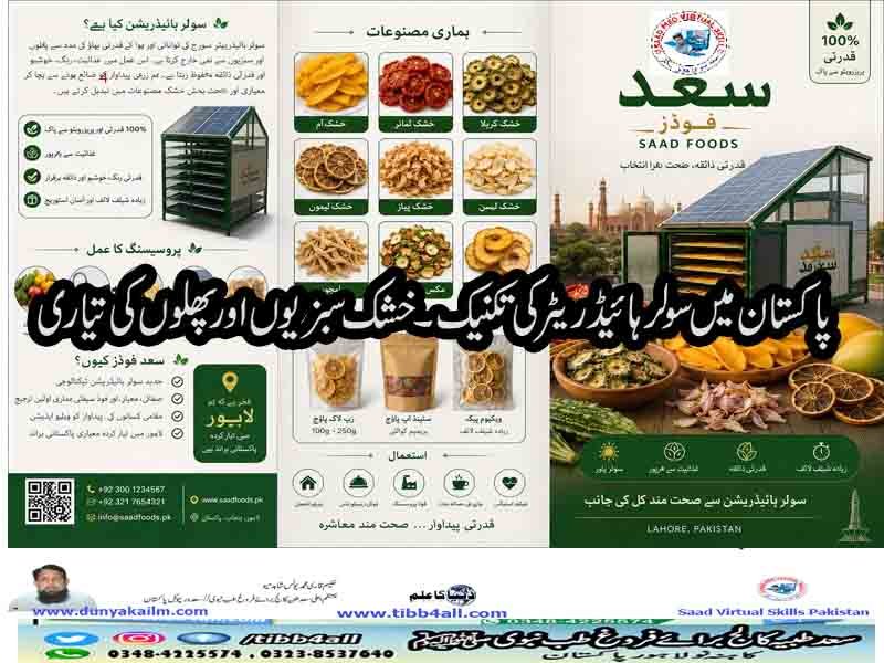 پاکستان میں سولر ہائیڈریٹرکی تکنیک
