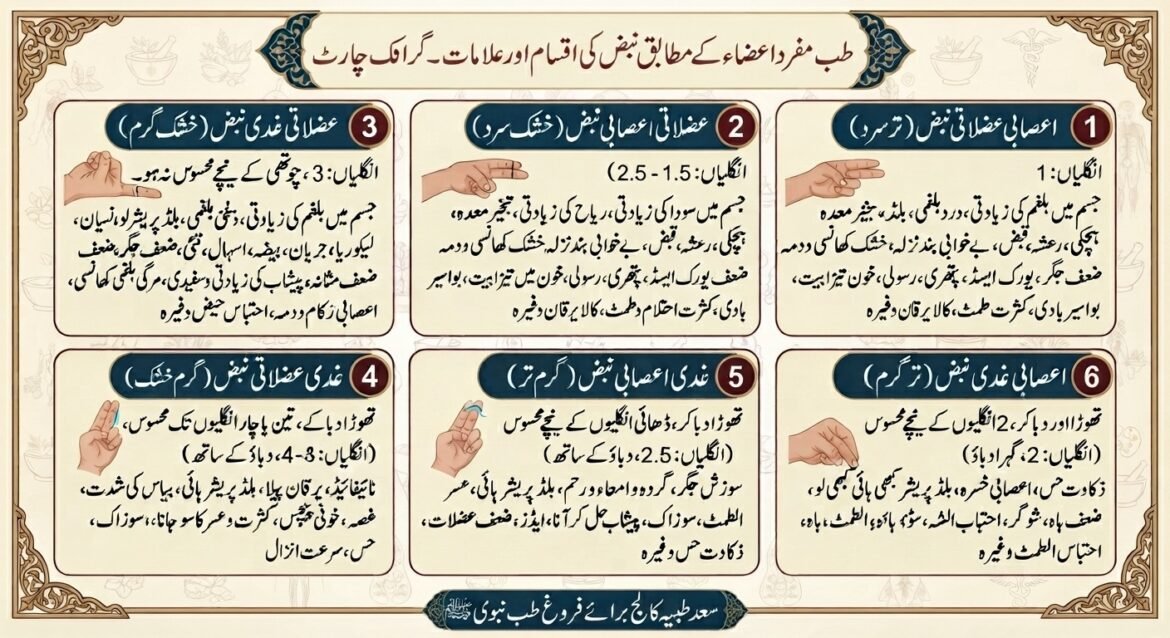 قانون مفرد اعضاء ثلاثہ نبض